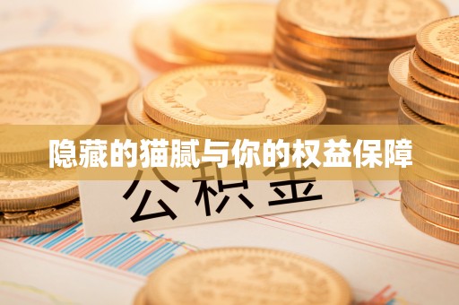 四川隐藏的猫腻与你的权益保障